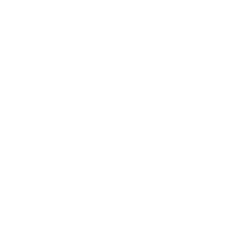 Ibis