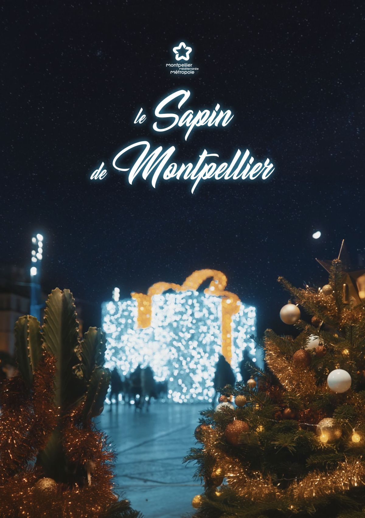 Le Sapin de Montpellier