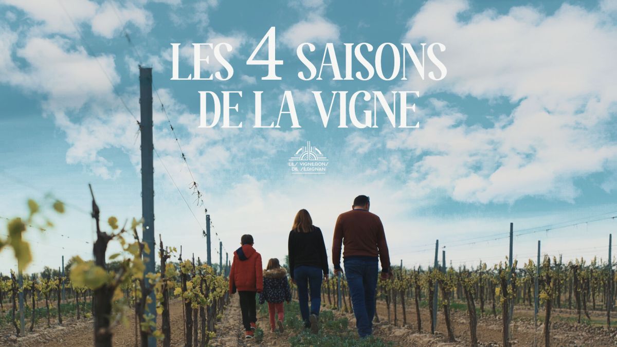 Les 4 Saisons de la Vigne